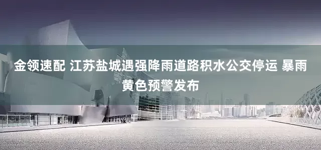 金领速配 江苏盐城遇强降雨道路积水公交停运 暴雨黄色预警发布
